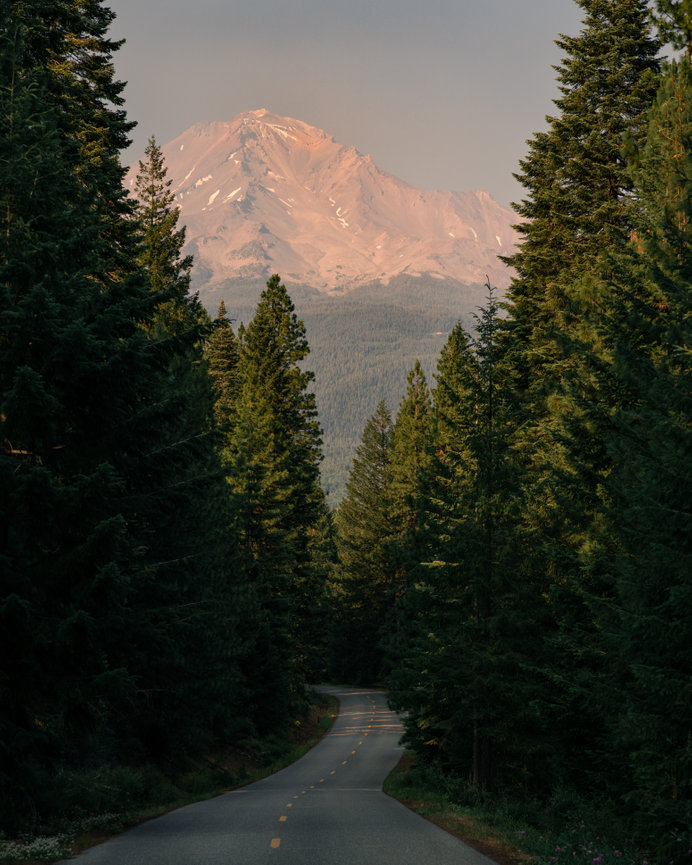 A road leads through a forest toward a distant snow-covered mountain peak.
